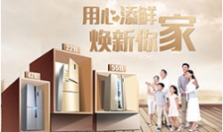 白色家電制冷行業(yè)（冰箱、冷柜）
